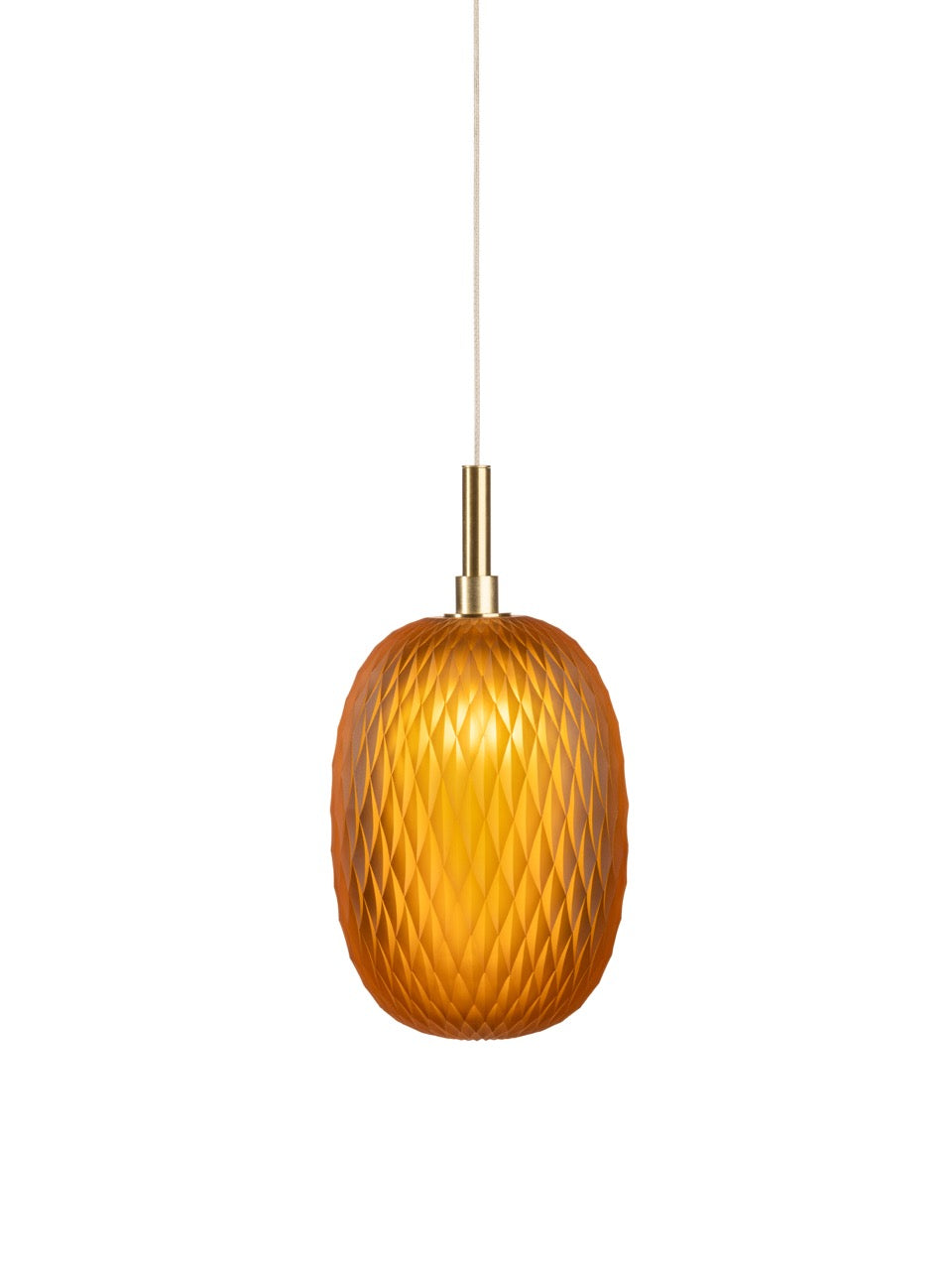 Metamorphosis Pendant Light with Canopy