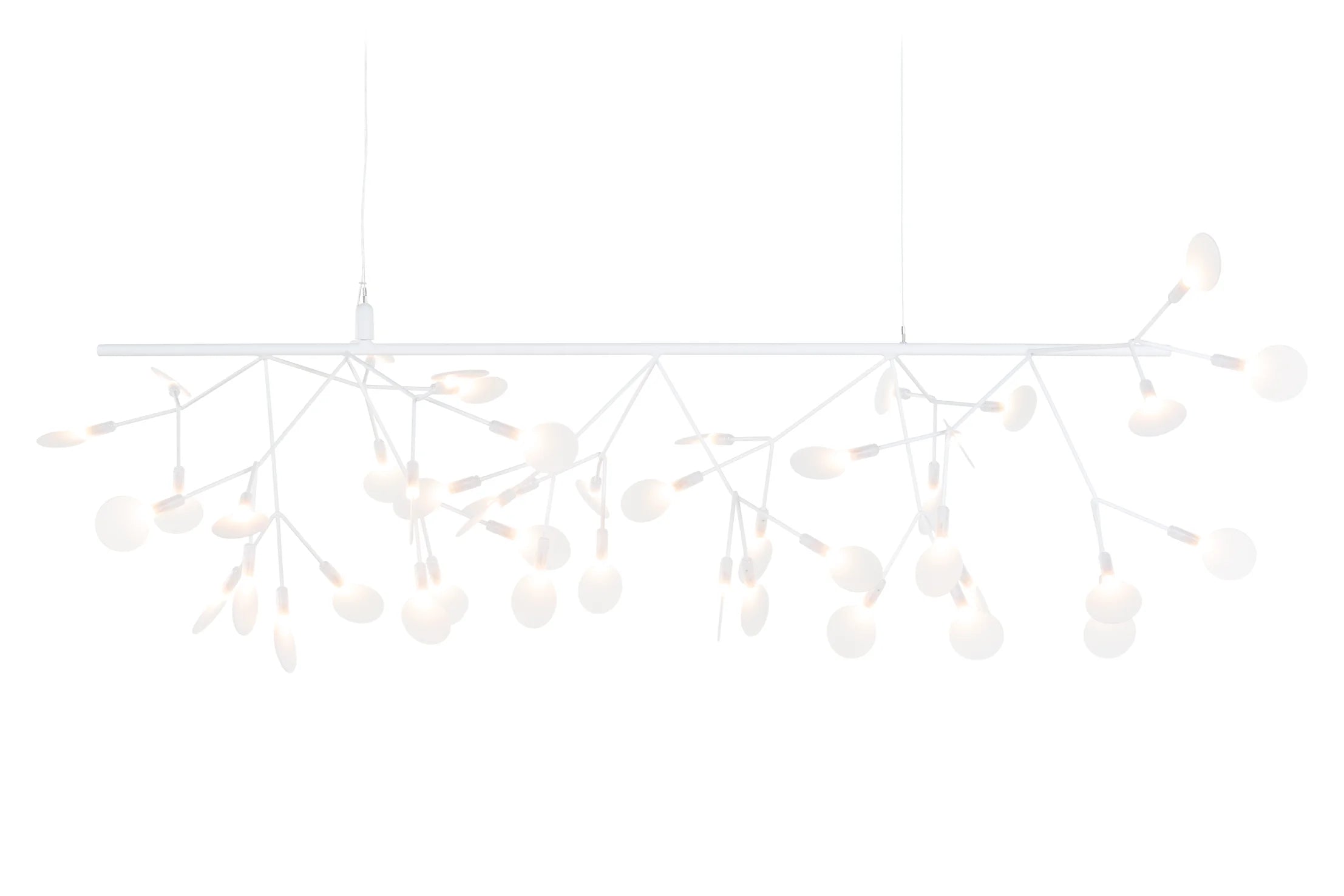 Heracleum III Endless Suspension Lamp