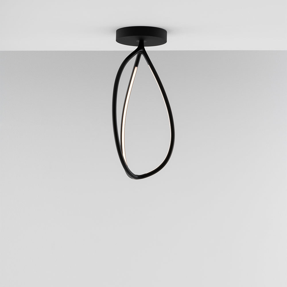 Arrival Wall/Ceiling Light