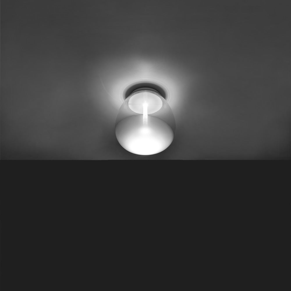 Empatia Wall/Ceiling Light