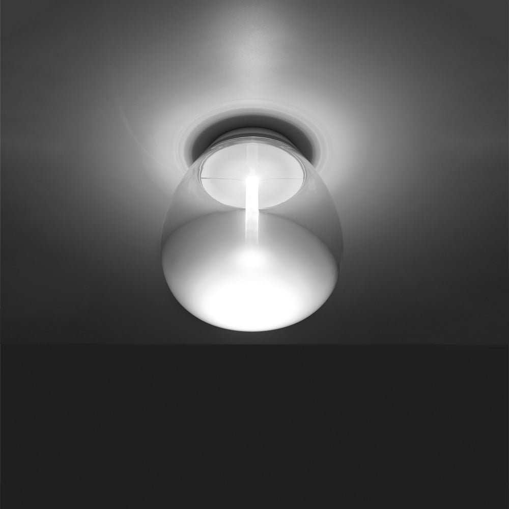 Empatia Wall/Ceiling Light