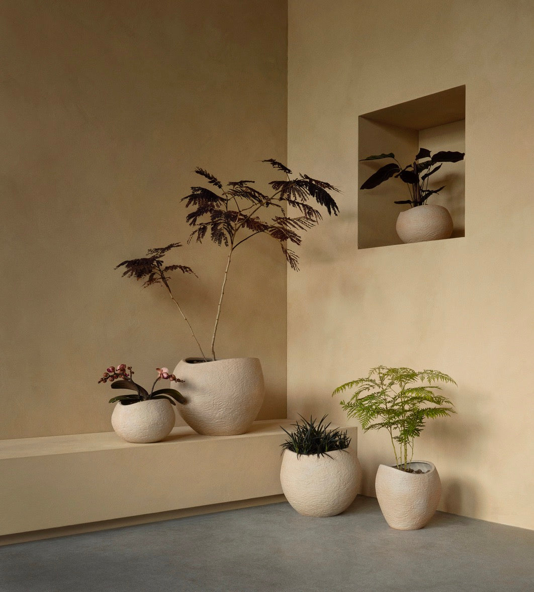 Plantas Planter