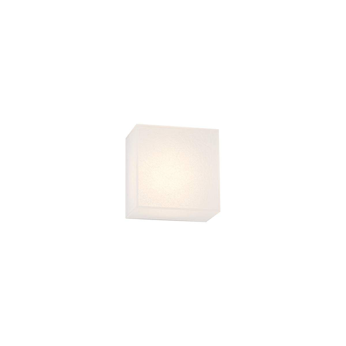 Moxee Wall Sconce