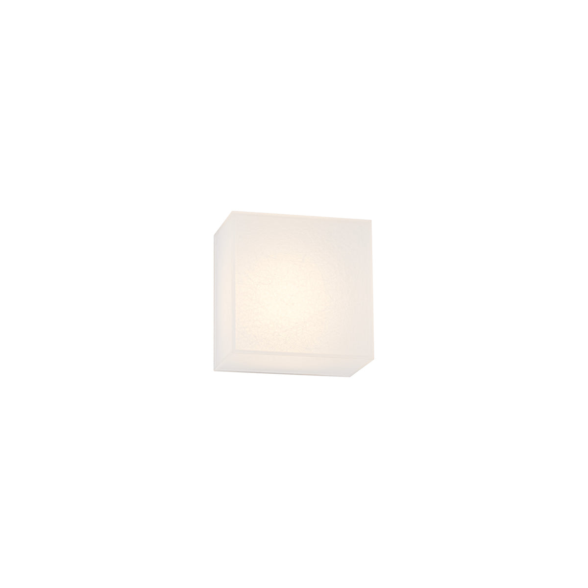 Moxee Wall Sconce