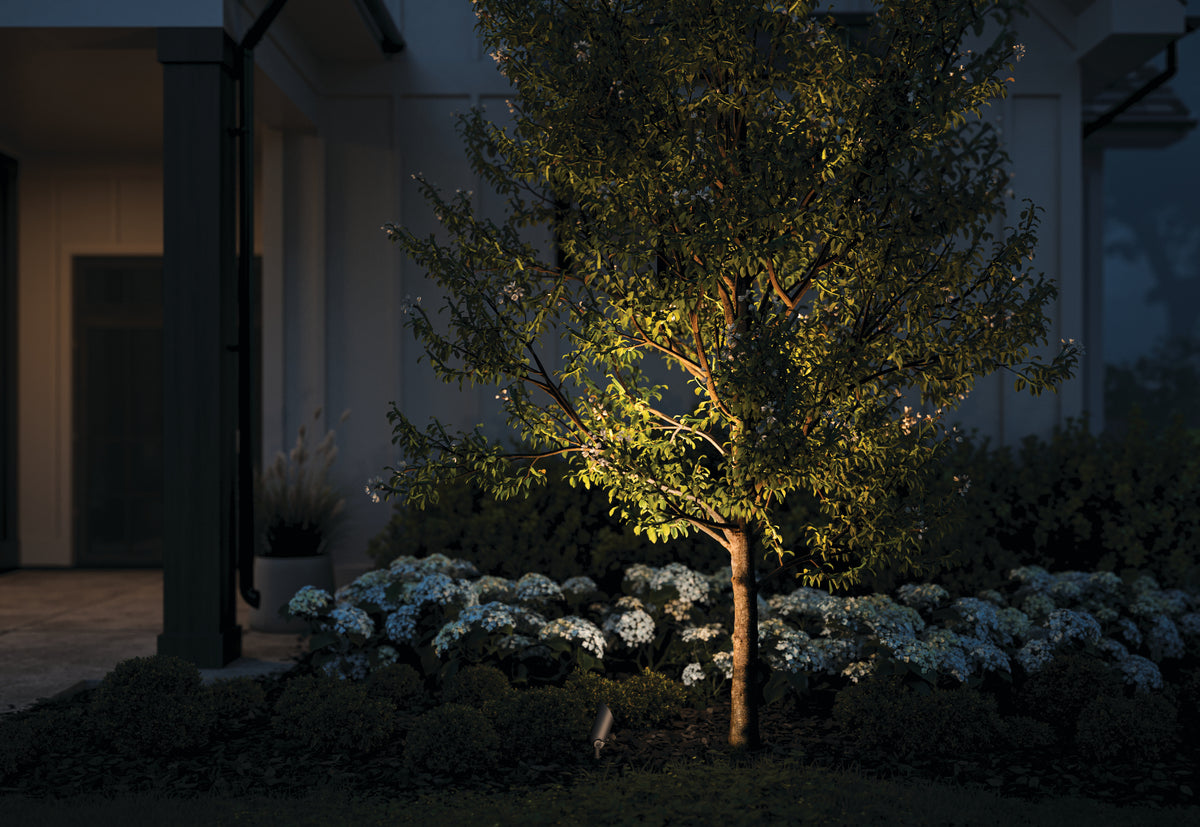 Showcasing outdoor accent lighting