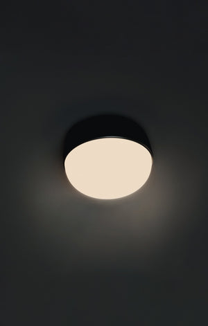 Kiki Bud Outdoor Wall Light