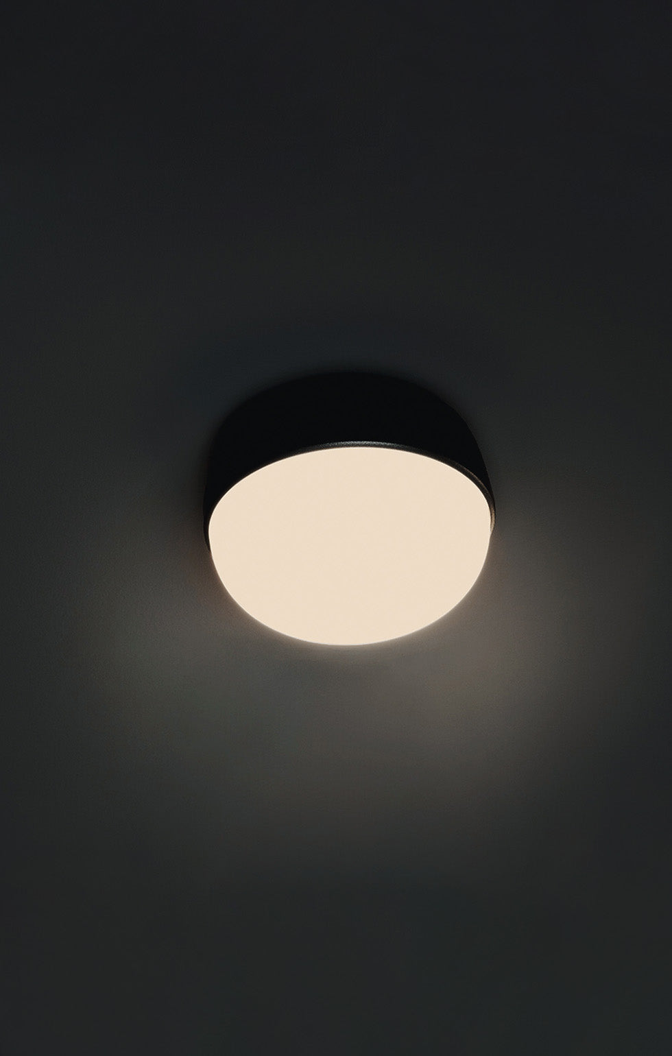 Kiki Bud Outdoor Wall Light
