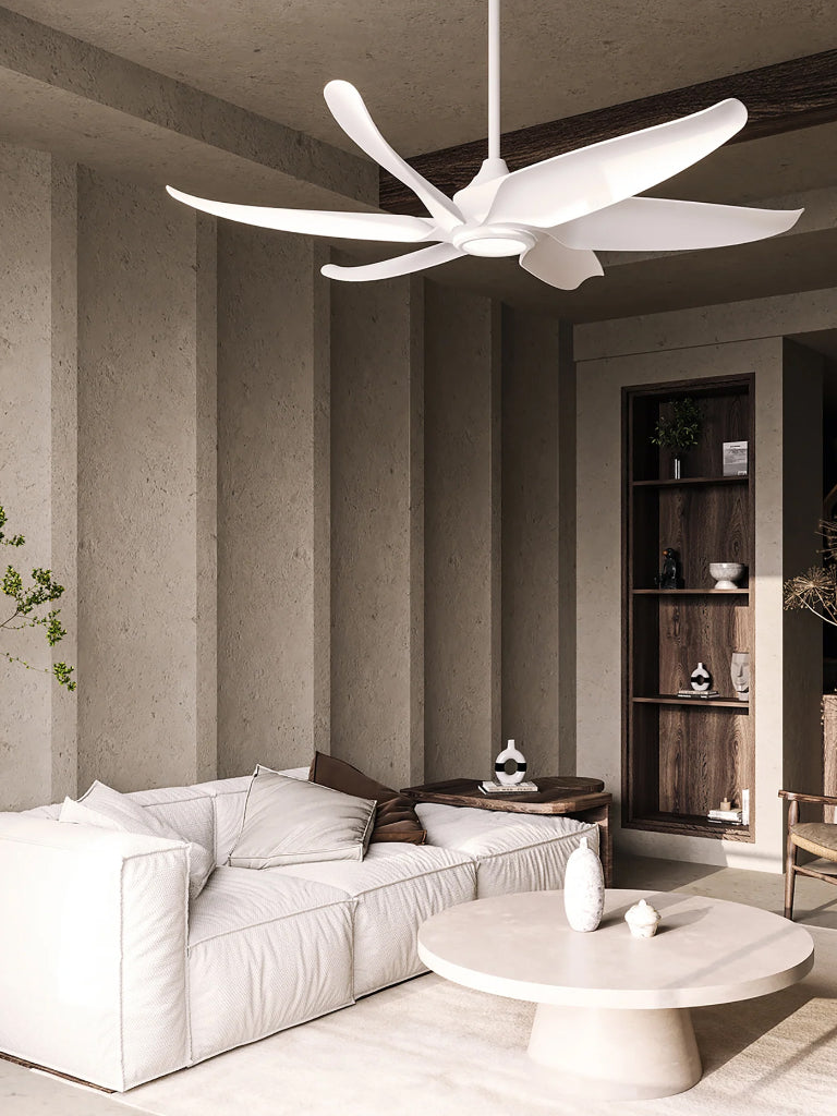 EL Design Showroom