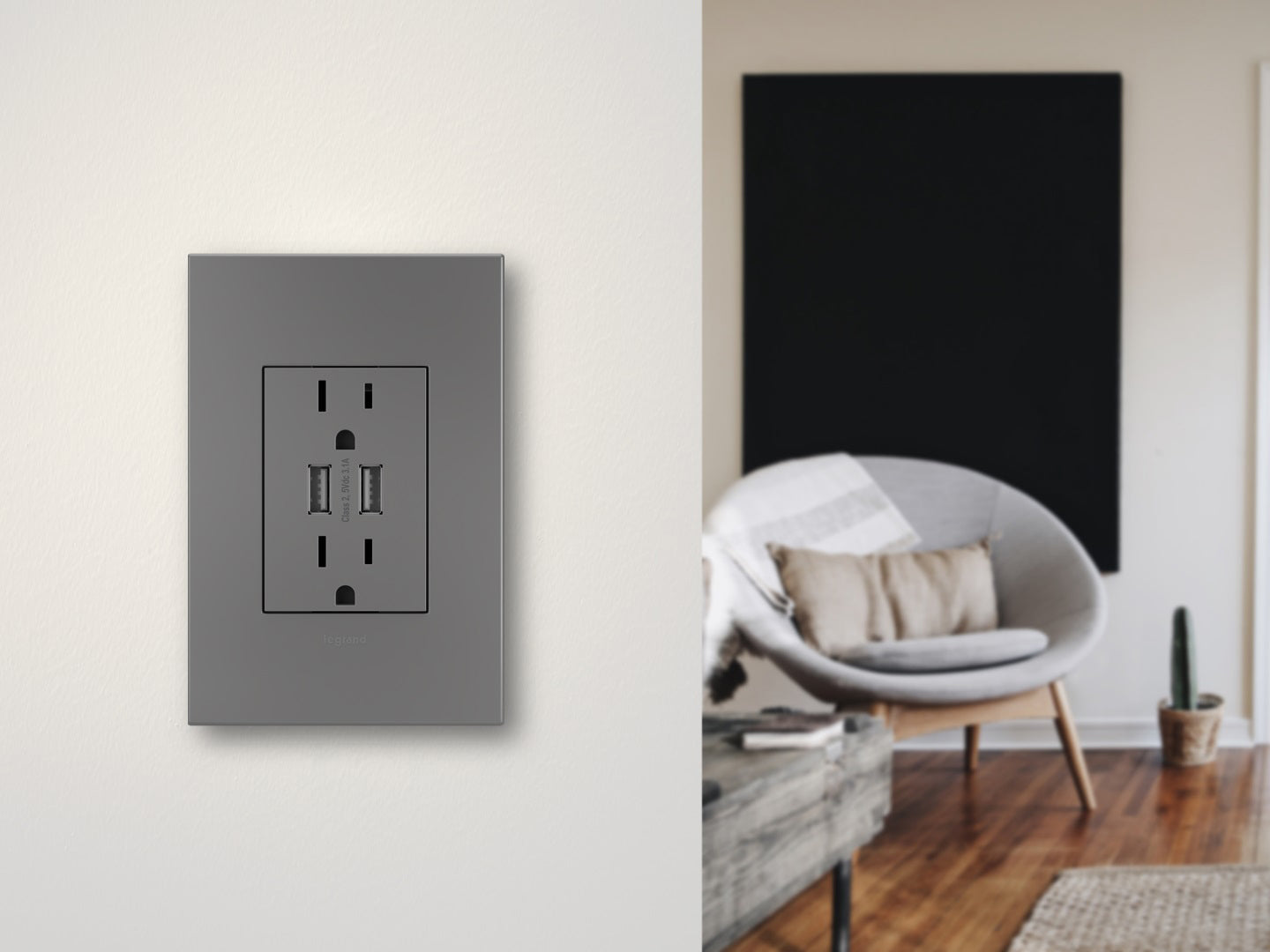 Legrand - ARTRUSB153M4WP - Dual Usb Plus-Size Outlet Combo With Matching Wall Plate - Adorne - Magnesium