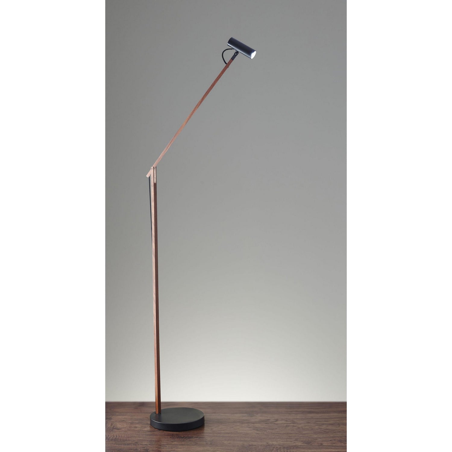 Adesso Home - AD9101-15 - LED Floor Lamp - Crane - Black