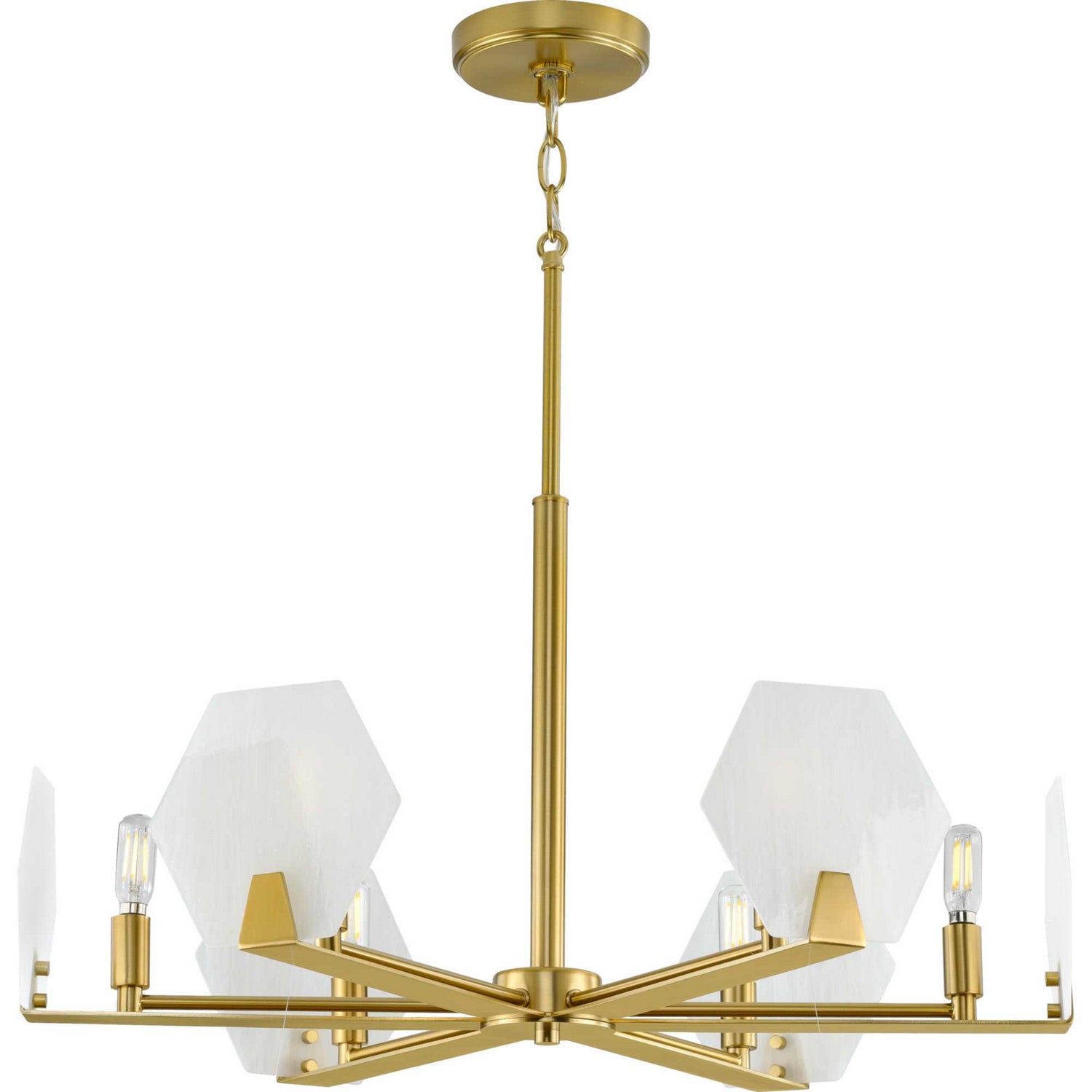 Progress Lighting - P400216-109 - Six Light Chandelier - Rae - Brushed Bronze