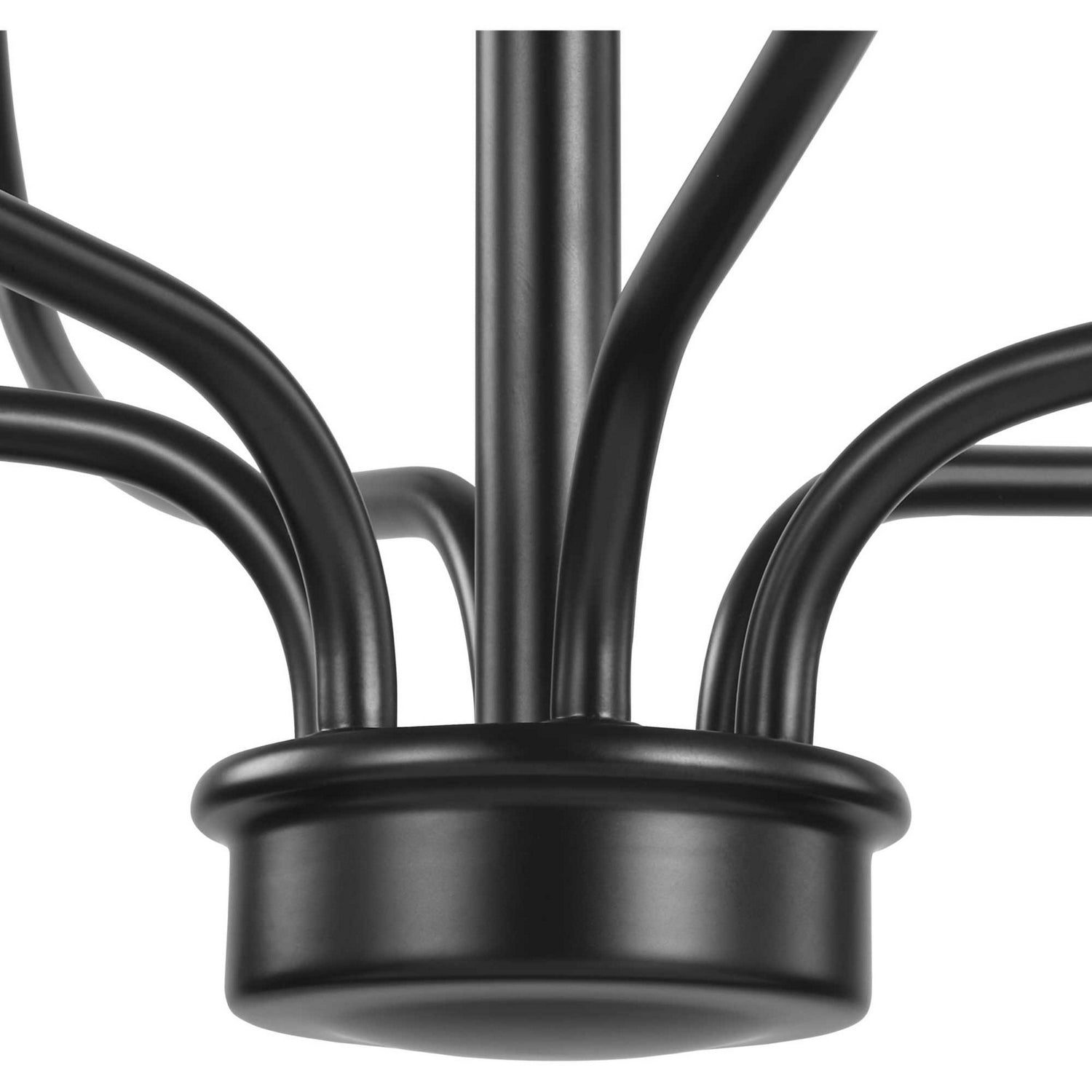 Progress Lighting - P400227-031 - Six Light Foyer Chandelier - Bonita - Black