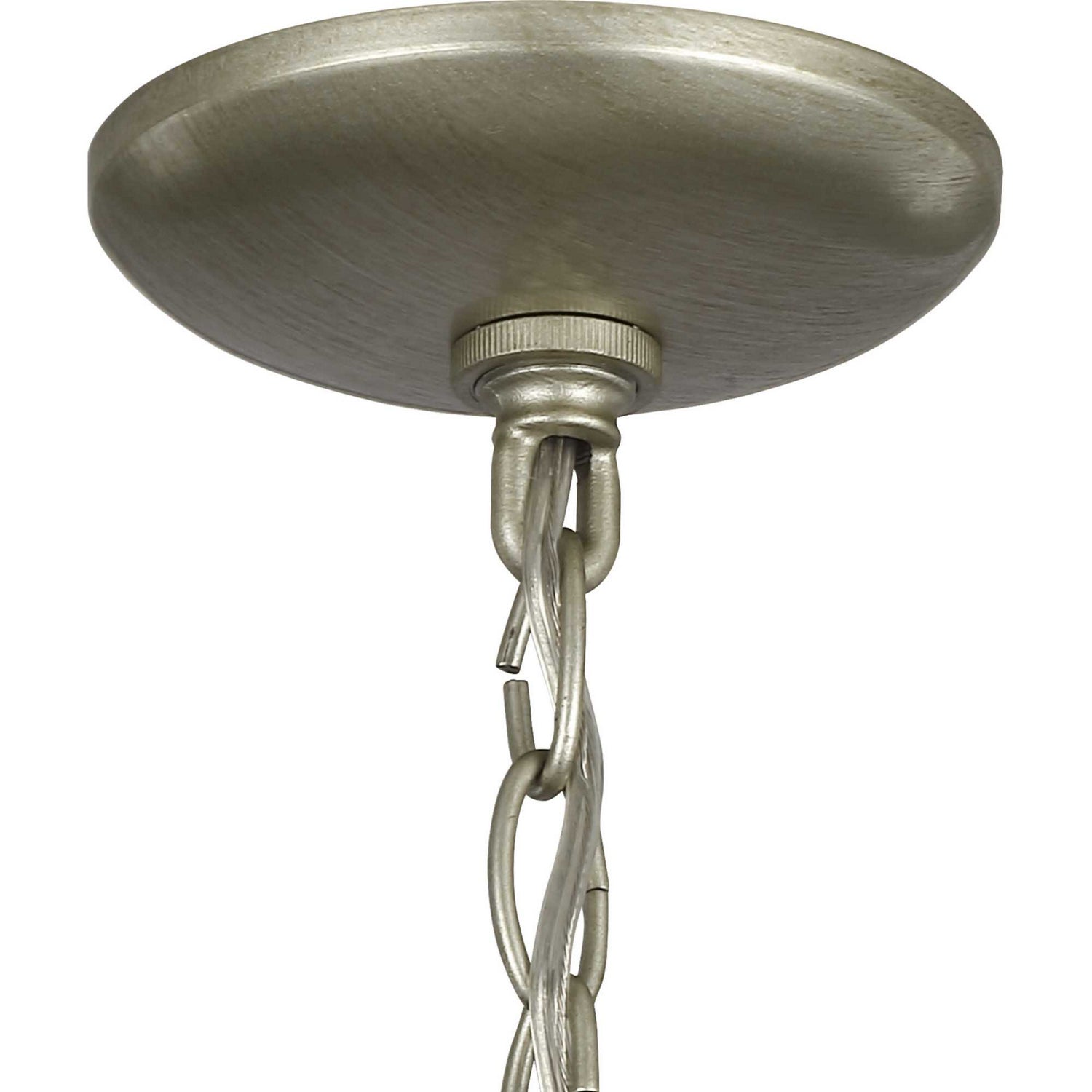 Progress Lighting - P500287-134 - Five Light Pendant - Brandywine - Silver Ridge