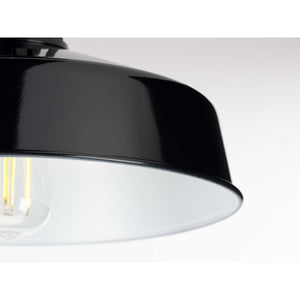 Progress Lighting - P550070-031 - One Light Semi Flush Mount - Cedar Springs - Black