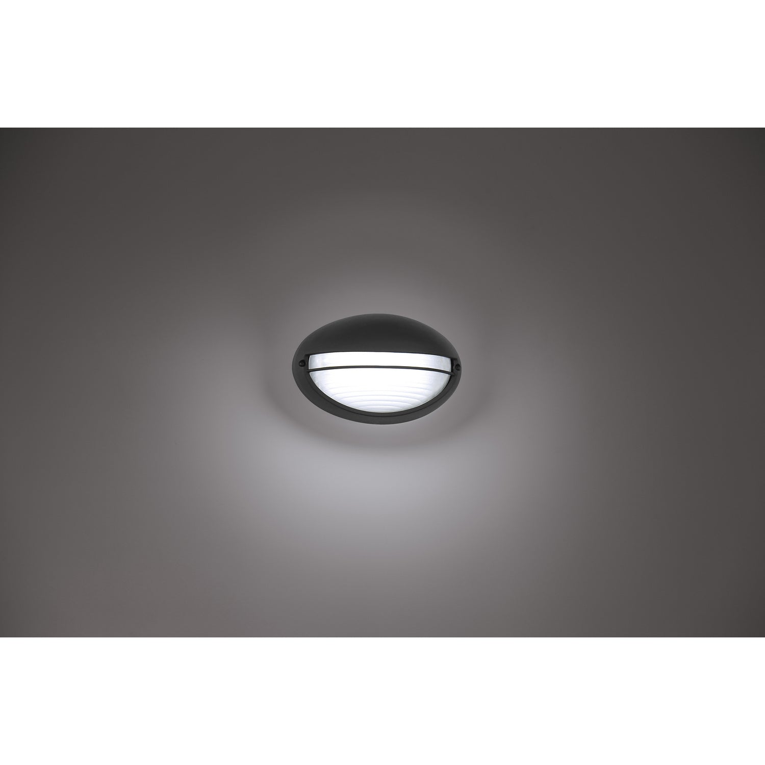 Access - 20270LEDDMG-BL/OPL - LED Bulkhead - Clifton Oval - Black