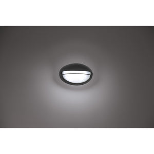 Access - 20270LEDDMG-BL/OPL - LED Bulkhead - Clifton Oval - Black