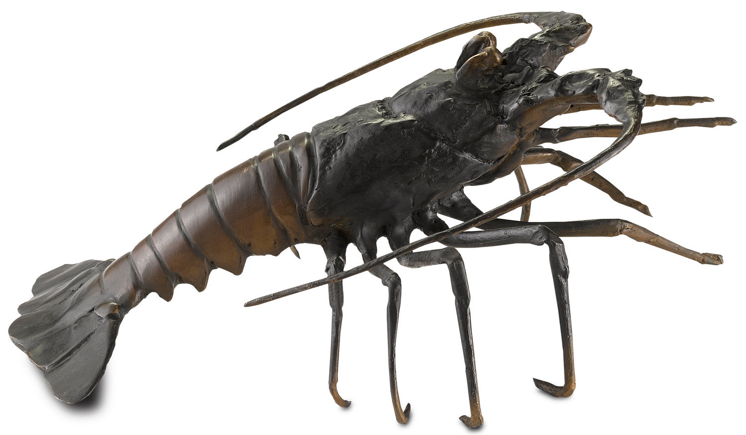 Currey and Company - 1200-0292 - Lobster - Edo - Black/Bronze