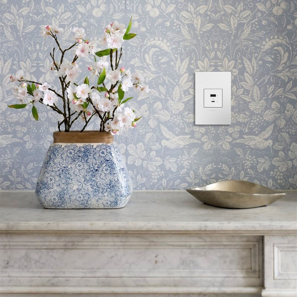 Legrand - ARUSB2AC6W4 - Ultra-Fast USB Type-A/C Outlet Module - adorne - White