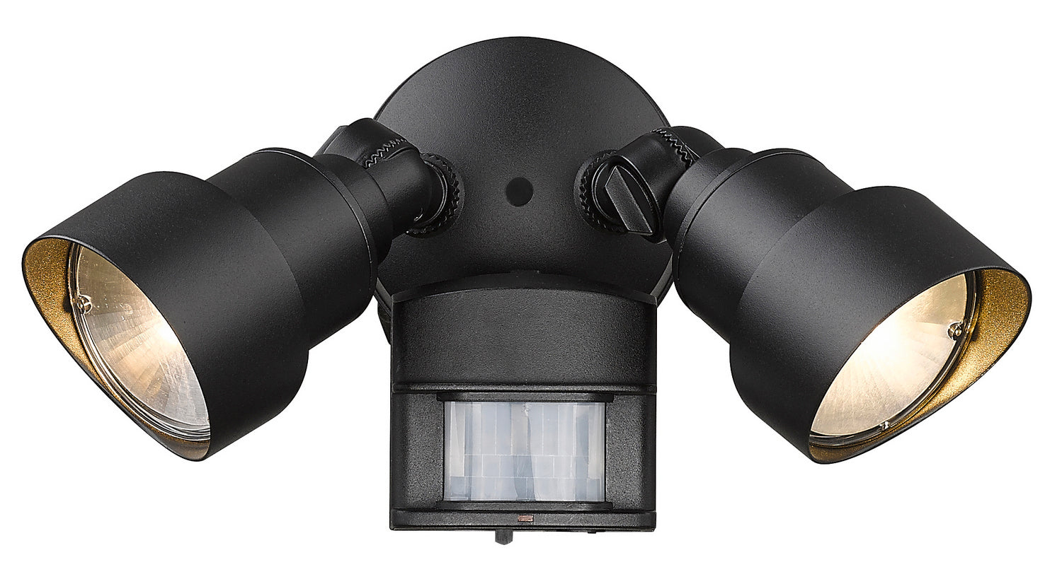 Acclaim Lighting - LFL2BKM - LED Floodlight - LED Floodlights - Matte Black