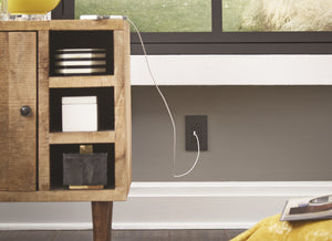 Legrand - TM826USBGCCV4 - 15A Tamper-Resistant USB Outlet - radiant - Graphite