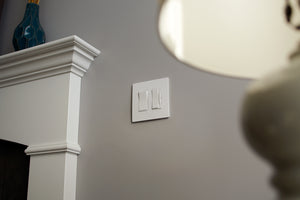 Legrand - TM870W - 15A Single-Pole Switch - radiant - White