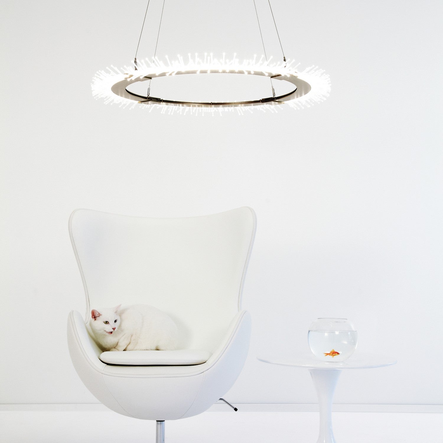 Hubbardton Forge - 139772-LED-STND-84 - Anemone Circular LED Pendant - Anemone - Soft Gold