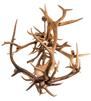 Meyda Tiffany - 212275 - Ten Light Chandelier - Antlers - Mahogany Bronze