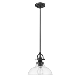 Acclaim Lighting - IN21147BK - One Light Pendant - Virginia - Matte Black