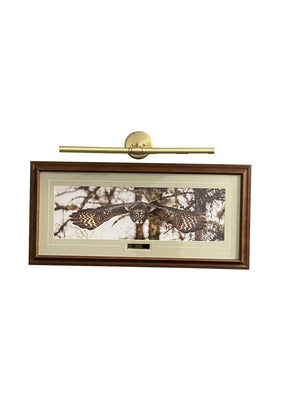 House of Troy - DCH25-51 - Four Light Picture Light - Chelsea - Satin Brass