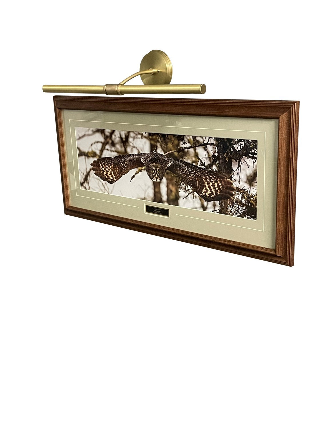House of Troy - DCH25-51 - Four Light Picture Light - Chelsea - Satin Brass