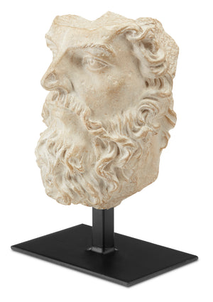 Currey and Company - 1200-0444 - Head of Zeus - Aged Beige/Black