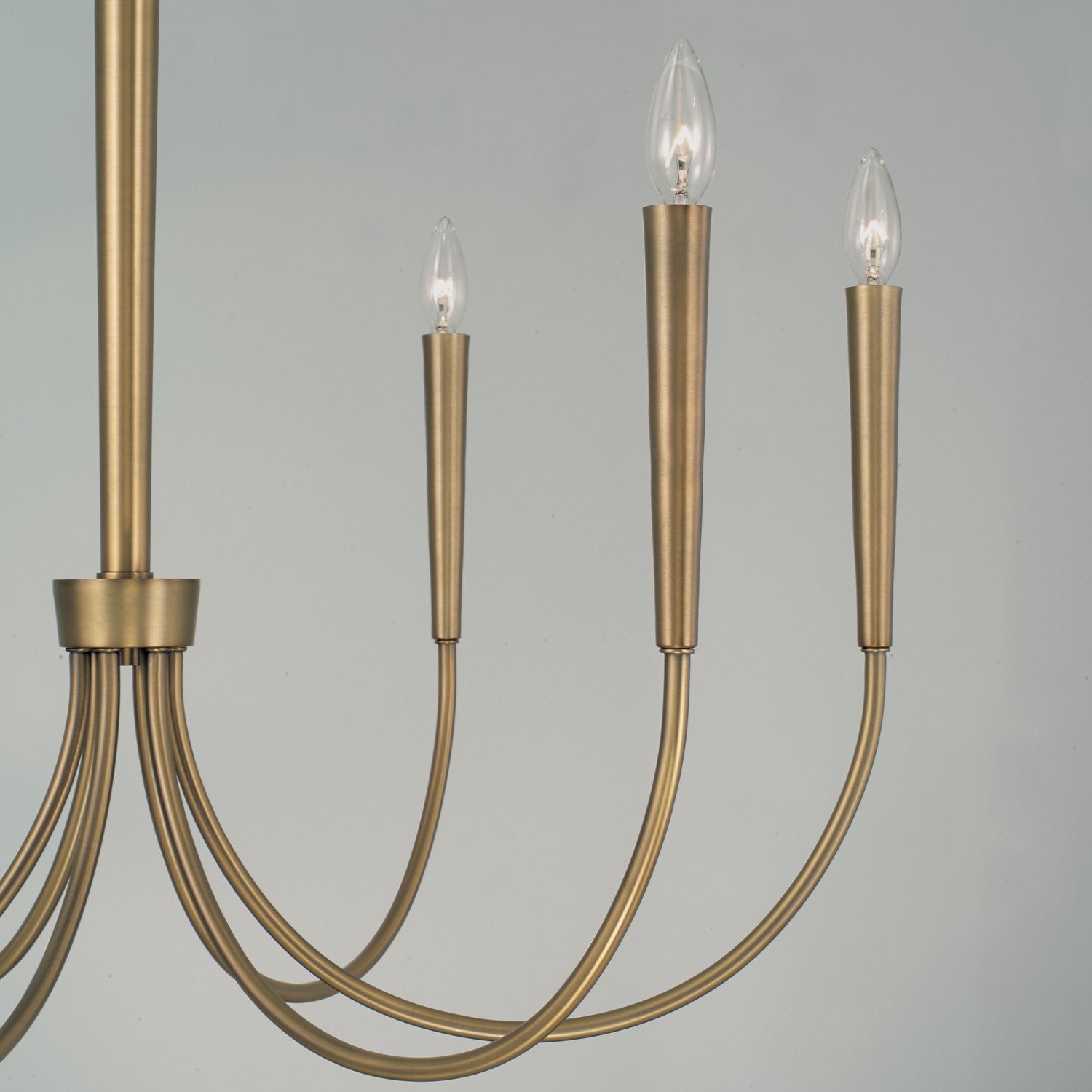 Capital Lighting - 445961AD - Six Light Chandelier - Holden - Aged Brass