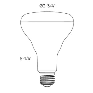 Dals - DCP-BLBBR30 - LED Bulb - White