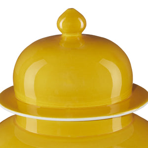 Currey and Company - 1200-0581 - Jar - Imperial - Yellow