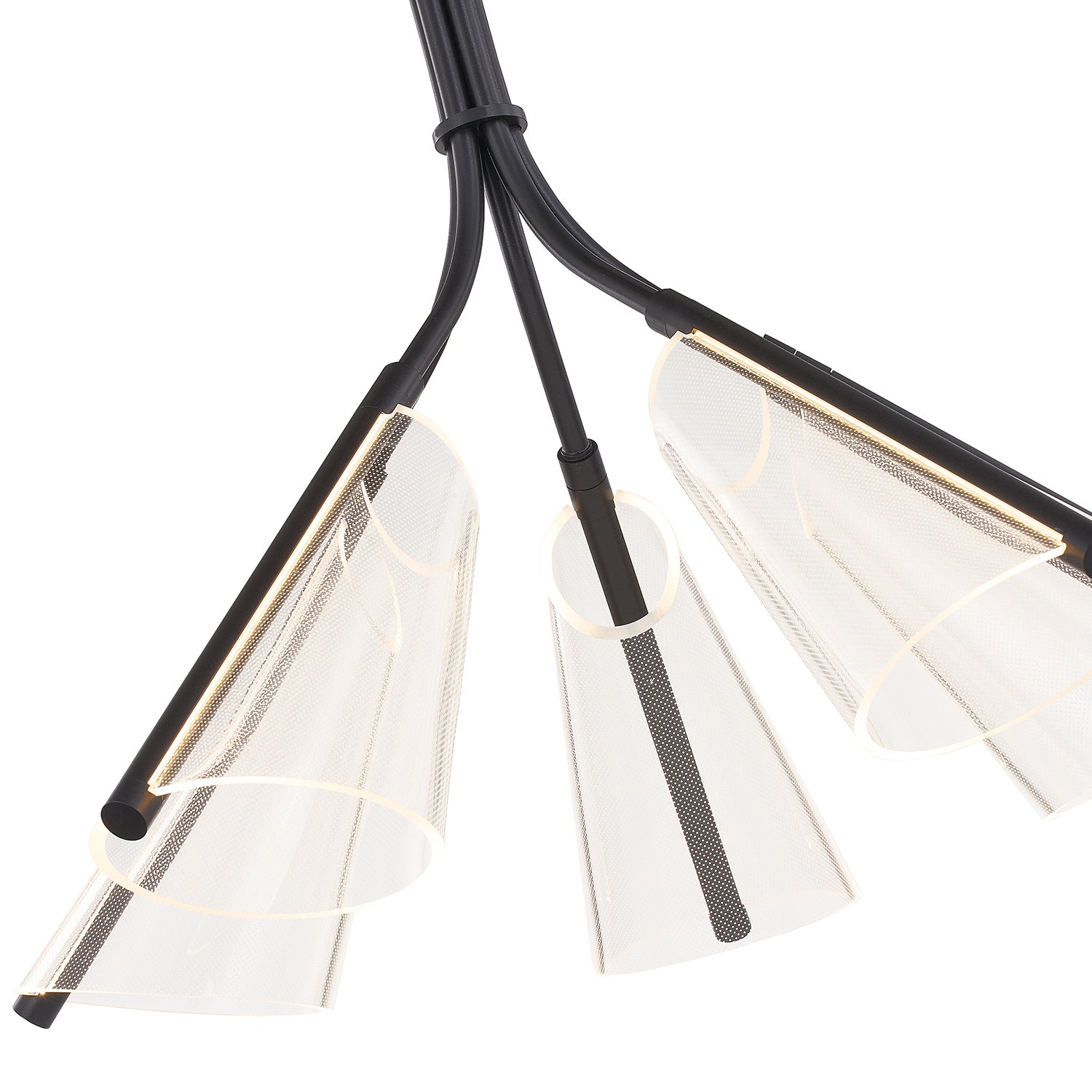 Kuzco Lighting - CH62628-BK/LG - LED Chandelier - Mulberry - Black/Light Guide