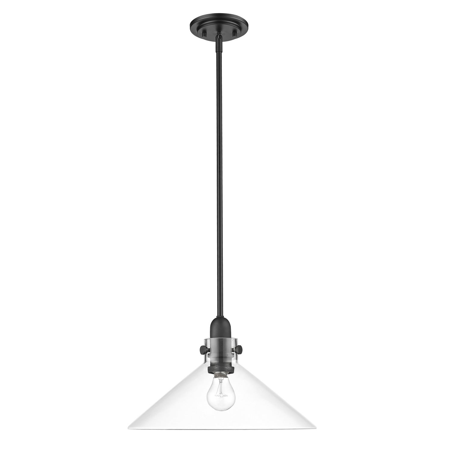 Acclaim Lighting - IN20080BK - One Light Pendant - Dwyer - Matte Black