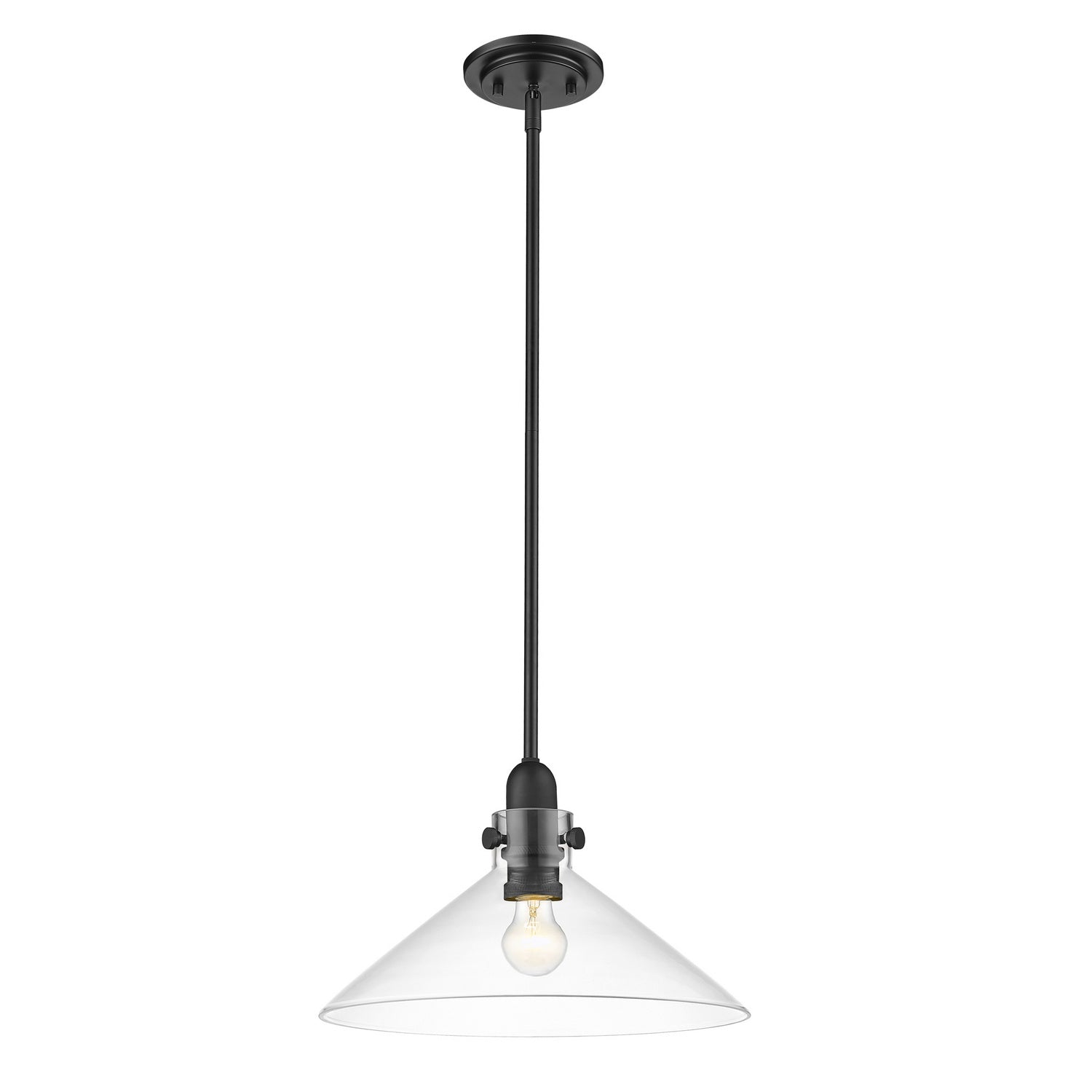 Acclaim Lighting - IN20080BK - One Light Pendant - Dwyer - Matte Black