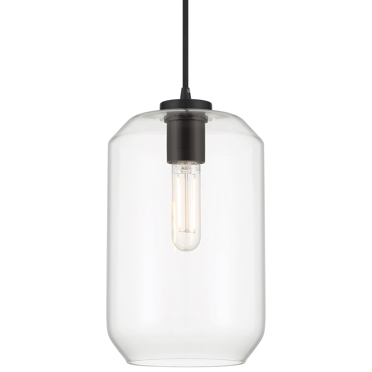 Access - 29010LEDDLP-BL/CLR - LED Pendant - Clarity - Black