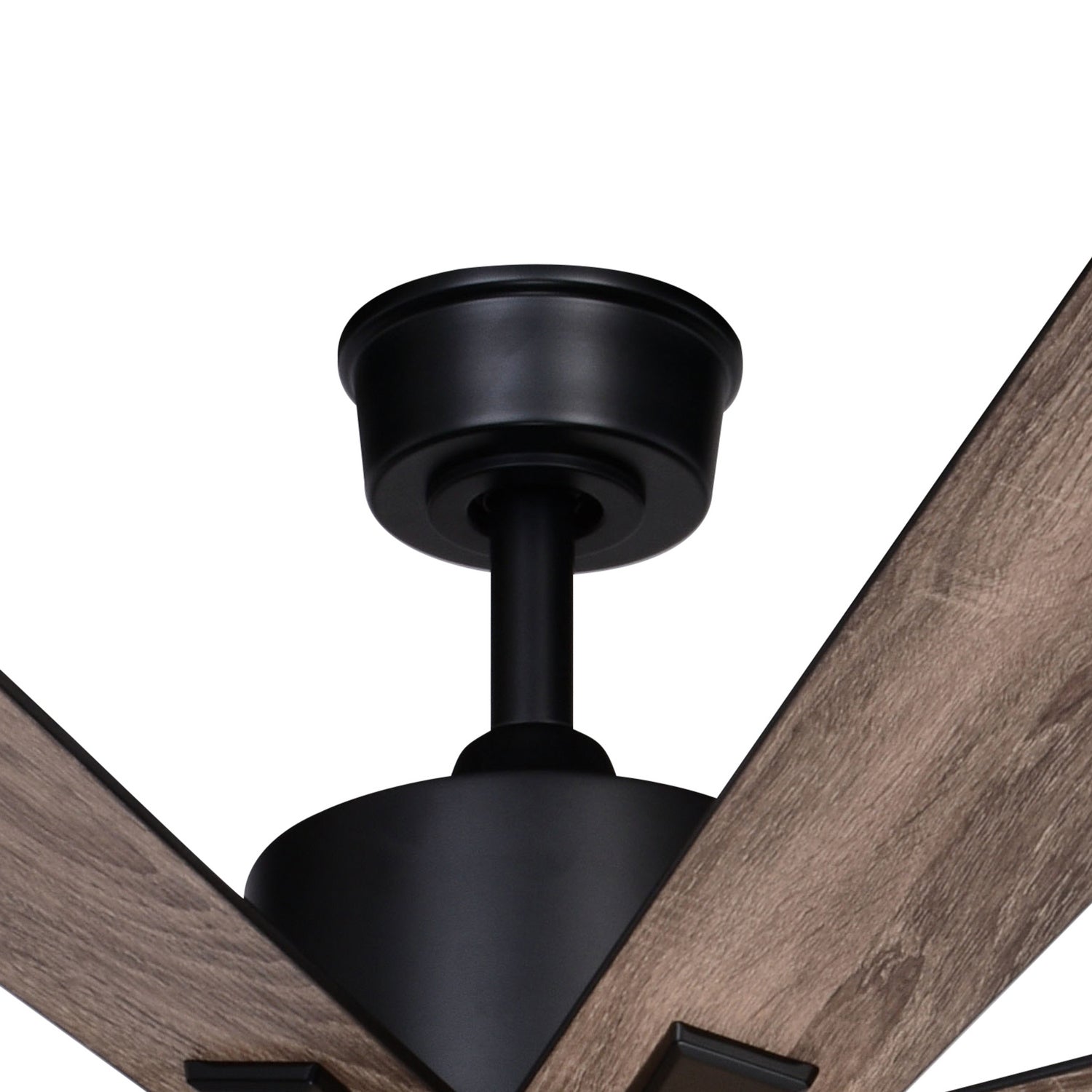 Vaxcel - F0109 - 60"Ceiling Fan - Crawford - Black