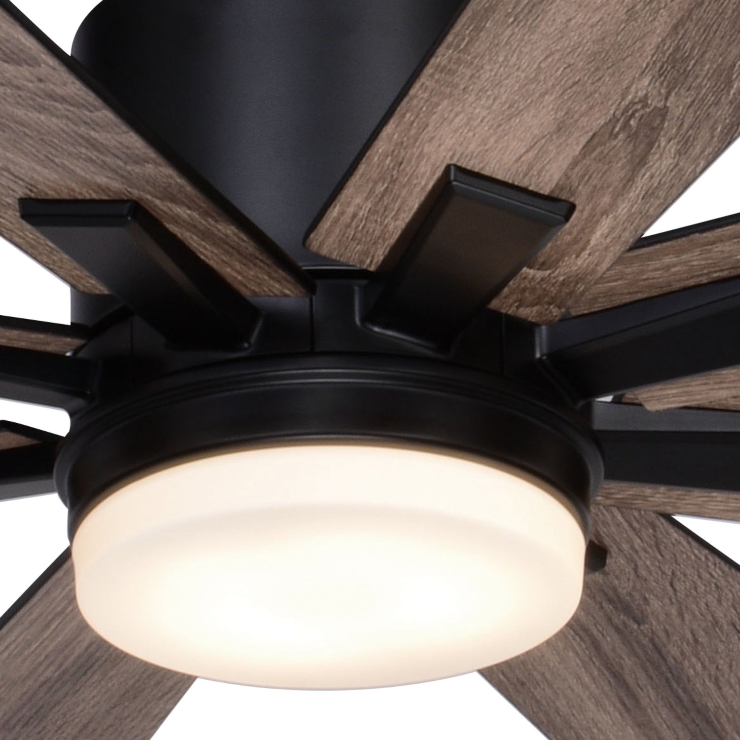 Vaxcel - F0109 - 60"Ceiling Fan - Crawford - Black