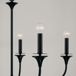 Capital Lighting - 448951MB - Five Light Chandelier - Presley - Matte Black