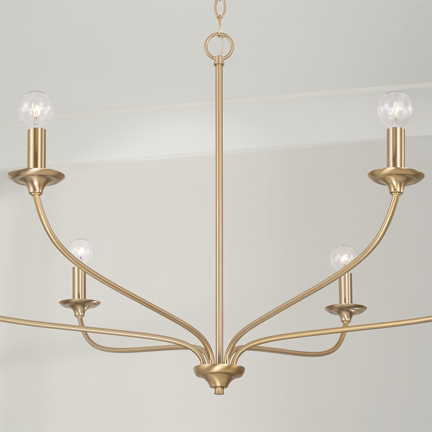 Capital Lighting - 449961MA - Six Light Chandelier - Dolan - Matte Brass