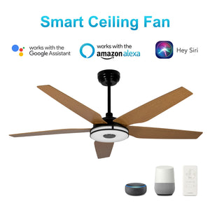 Carro - VS565S-L13-B9-1 - 56"Smart Ceiling Fan - Elira - Black