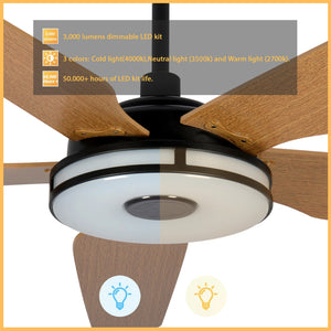 Carro - VS525S-L13-B9-1 - 52"Smart Ceiling Fan - Elira - Black