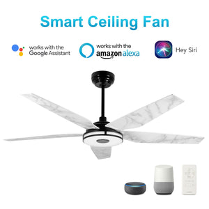 Carro - VS525S-L13-B7-1 - 52"Smart Ceiling Fan - Elira - Black