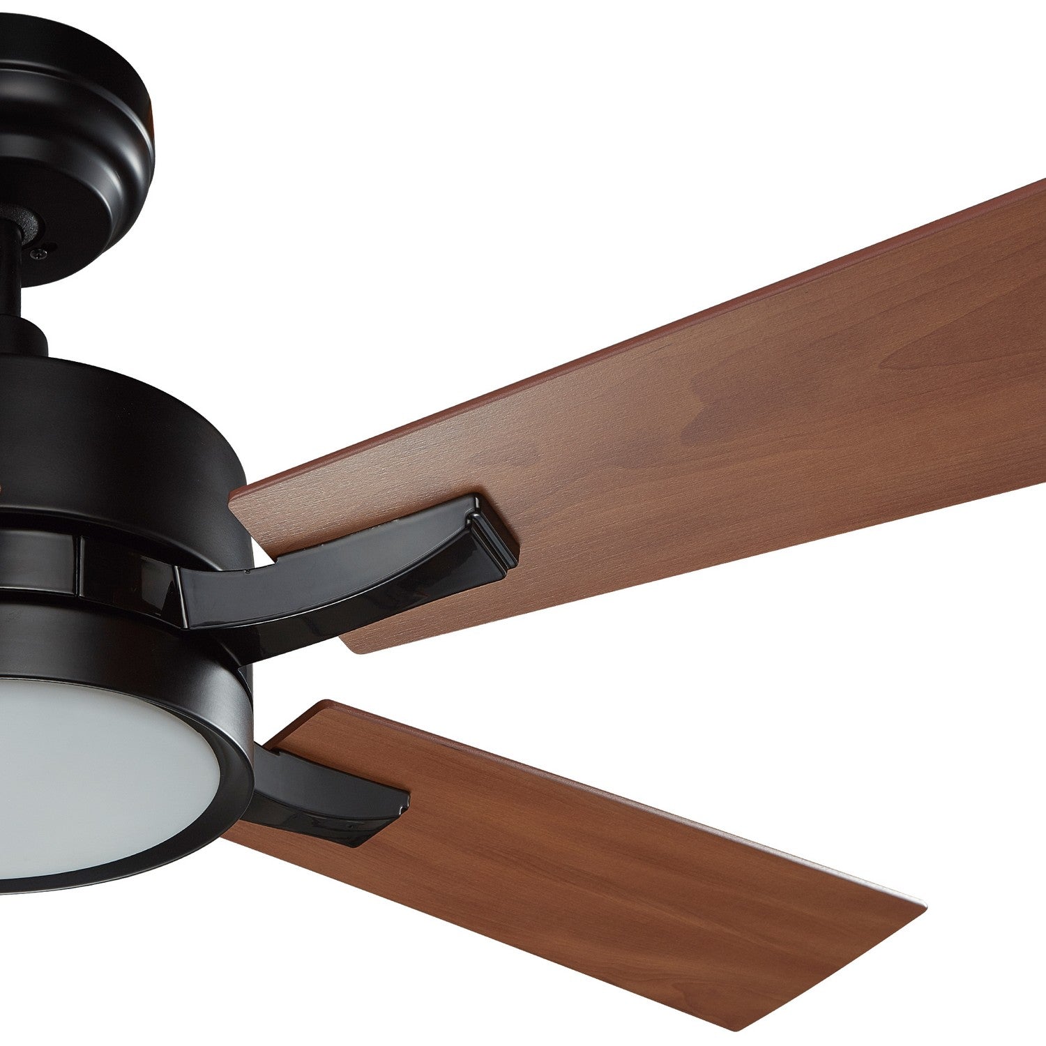 Carro - VS565E-L12-B3-1 - 56"Smart Ceiling Fan - Appleton - Black