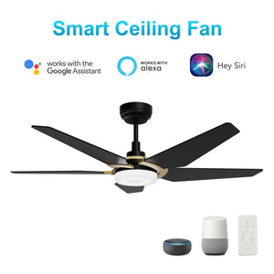 Carro - VS525B-L22-B2-1G - 52"Smart Ceiling Fan - Woodrow - Black