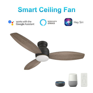 Carro - VS483Q-L12-BG-1 - 48"Smart Ceiling Fan - Trento - Black