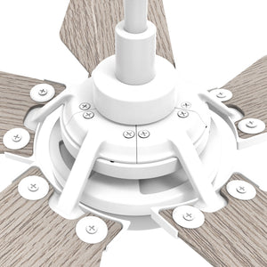 Carro - VS525B-L22-W6-1 - 52"Smart Ceiling Fan - Woodrow - White