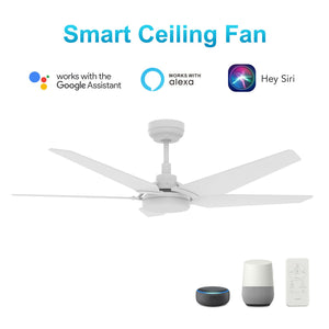 Carro - VS525B-L22-W1-1 - 52"Smart Ceiling Fan - Woodrow - White